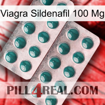 Viagra Sildenafil 100 Mg dapoxetine2